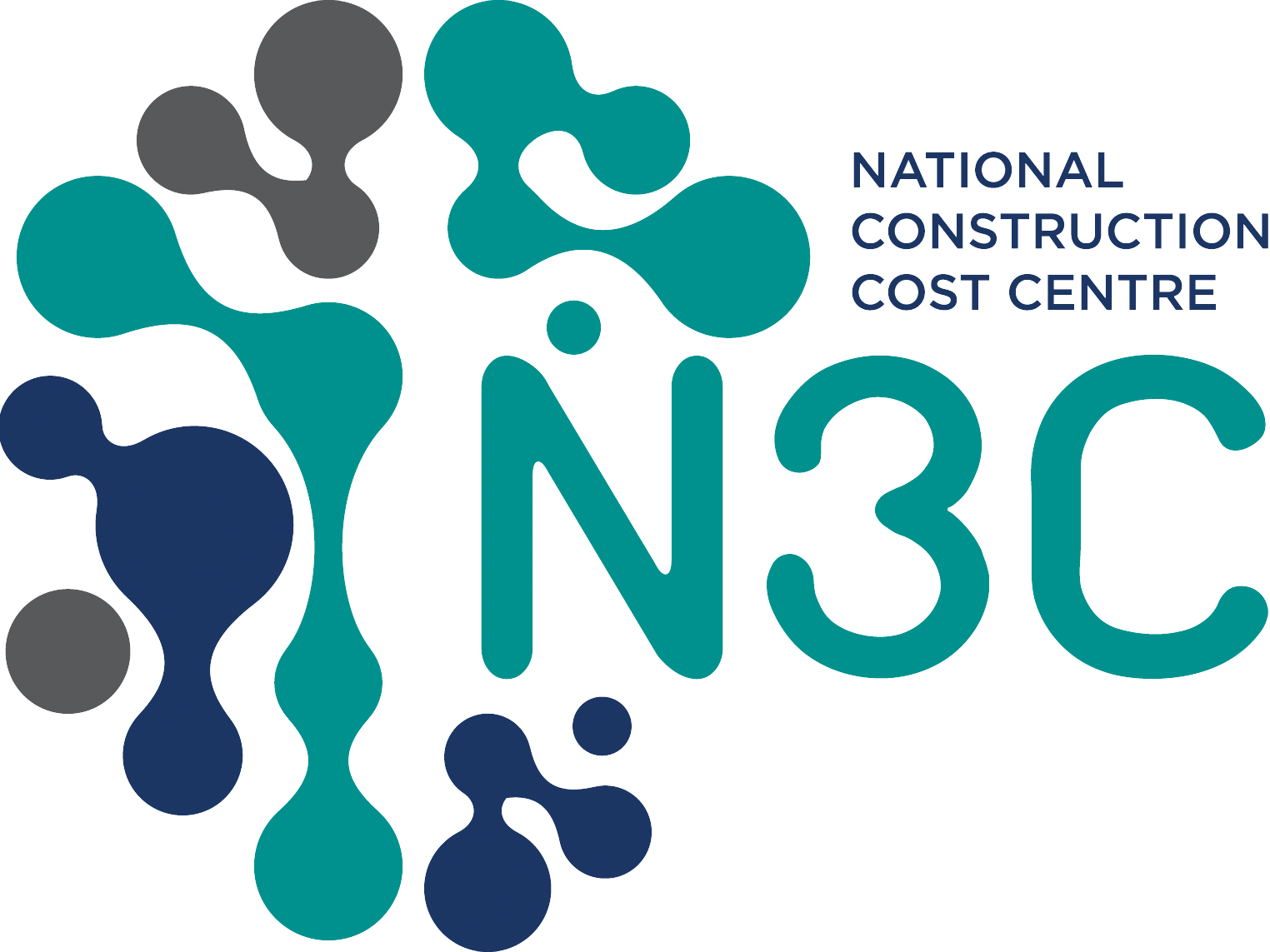 N3C